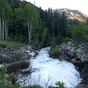 Meet your Posher, Cristina